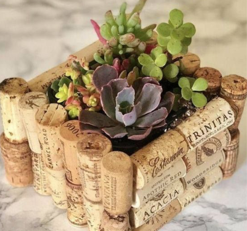 Succulent arrangement in a planter built from wine corks