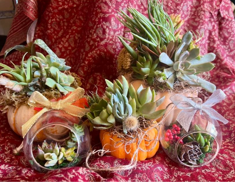 A montage of various succulents, in gourds and glass bulbs, atop acrimson tablecloth